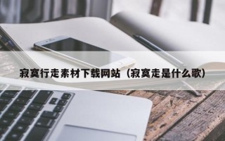琼海寂寞行走素材下载网站（寂寞走是什么歌）
